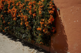 tobias schult photography