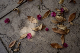 tobias schult photography