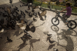 tobias schult photography