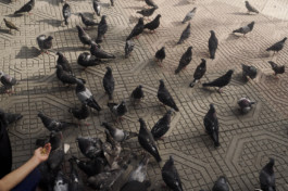 tobias schult photography