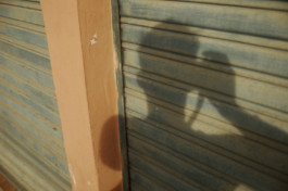 tobias schult photography