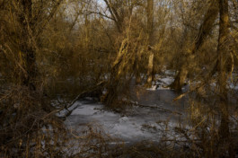 tobias schult photography