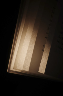 tobias schult photography