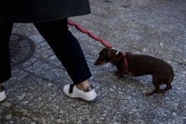 tobias schult photography