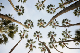 tobias schult photography