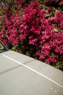 tobias schult photography