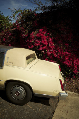 tobias schult photography