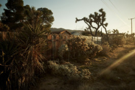 tobias schult photography