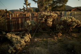 tobias schult photography