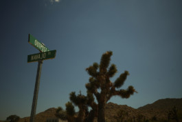 tobias schult photography