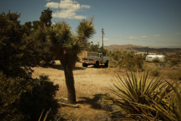 tobias schult photography