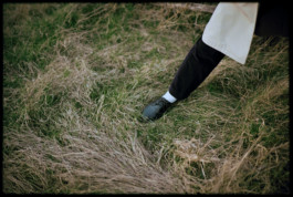 tobias schult photography