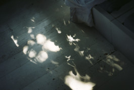 tobias schult photography