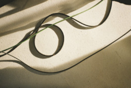 tobias schult photography