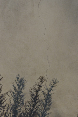 tobias schult photography