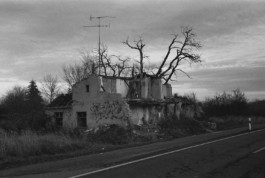 tobias schult photography