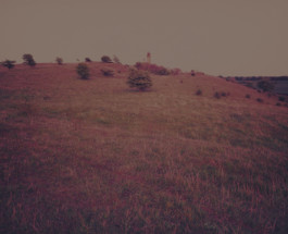 tobias schult photography