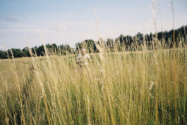 tobias schult photography