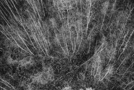 tobias schult photography