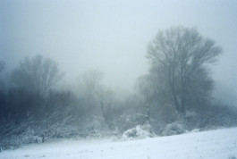 tobias schult photography