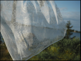 tobias schult photography