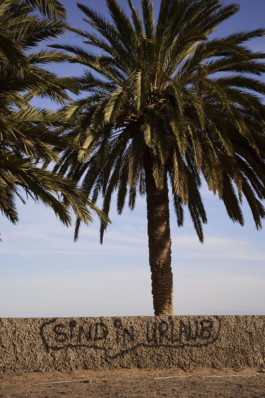 tobias schult photography