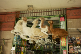 tobias schult photography