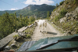 tobias schult photography